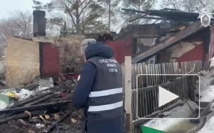 СК назвал причину пожара в Омской области, где погибли женщина и трое детей