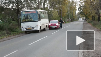 Заболтались за рулём. ДТП в Петергофе