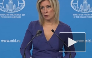 Захарова: РФ полагает, что наземная операция Турции в Сирии усилила бы напряженность