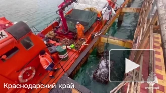 С побережья Черного моря собрали более 148 тыс. тонн загрязненного песка и грунта