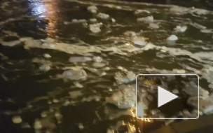 Улицы Сестрорецка затопила вода