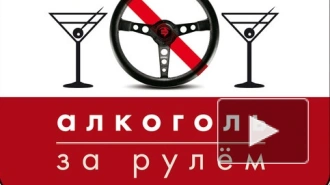 СМИ: Минздрав кроет матом водителей, пьющих за рулем