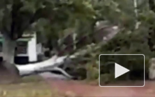 Ураган в Москве валил деревья, фонарные столбы, срывал крыши и лишал водителей машин