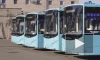 В Петербурге пустят 50 новых автобусов "Волгабас"