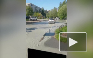 Петербуржцы сняли на видео потоп на Богатырском проспекте