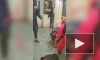 Троих уроженцев Дагестана задержали в Москве за избиение пассажира метро