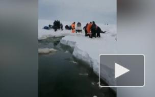 У берегов Сахалина с отколовшейся льдины спасли 26 рыбаков