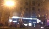 В Петербурге за ночь сгорели баня и BMW
