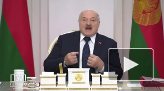 Лукашенко призвал "мобилизовать всех" на уборку картошки и свеклы