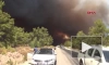 В Анталье из-за лесного пожара погиб один человек