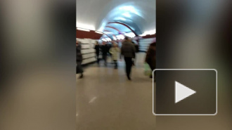 Юных националистов задержали за распыление газа на станции "Обводный канал"