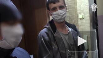 Суд приговорил к пожизненному заключению убившего семью в Красноярске