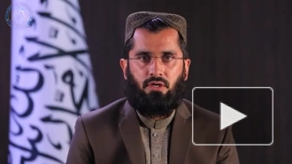 В Афганистане талибы* задержали двух человек, подозреваемых в убийстве правозащитниц