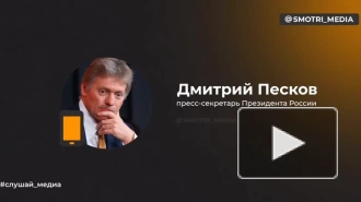 Песков оценил слова Зеленского о диалоге с Россией