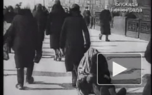 Ветераны получат право бесплатного проезда в День снятия блокады