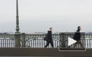 Спасатели приехали выручать лебедя к Троицкому мосту, а он улетел от них