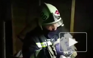 Во время пожара в ТЦ в Грозном были спасены все животные из контактного зоопарка