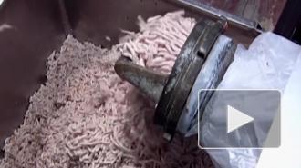 Эксперт рассказала, как не ошибиться в выборе колбасы летом