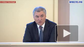 Володин надеется, что законы во исполнение послания заработают с 1 июля