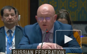 Небензя назвал украинские средства ПВО причиной гибели мирных жителей