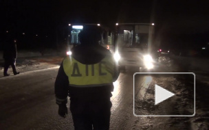 В Петродварцовом районе в 13 автобусах нашли нарушения 