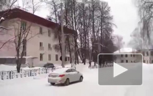 Очевидец снял медведя в Жигулёвске