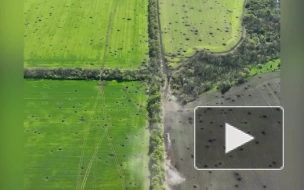 Беспилотник снял на видео дезертирство группы украинских военных с поля боя