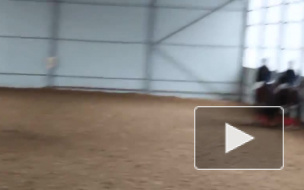 Новосибирск: при обрушении кровли конного клуба погибли женщина и ребенок