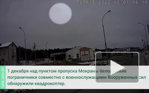 В Белоруссии перехватили летевший с Украины разведывательный БПЛА