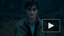 Появилась информация о сюжете нового фильма о Гарри Поттере