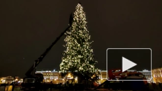 Каждому второму петербуржцу нравится елка на Дворцовой площади