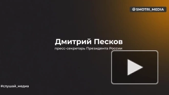 Песков: подготовка к посланию Путина Федеральному Собранию идет