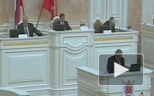 Депутат Милонов выступил против гинекологов и урологов для детей