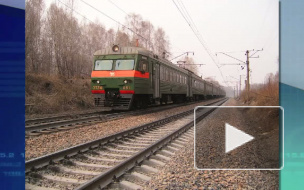 Дерево упало на электричку под Петербургом