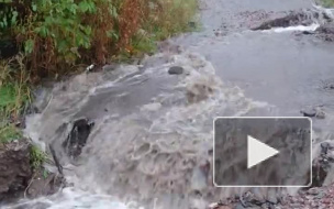 Поселок Рощино затопило из-за непогоды 