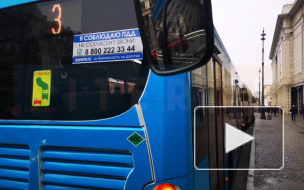 Петербуржцам показали новые "зенитовские" автобусы. Вот как они выглядят