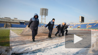 Эксперт УЕФА оценил состояние газона стадиона "Петровский" как удовлетворительное