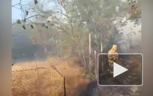 На Кубани зафиксировали природный пожар рядом с поселком