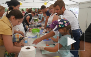 Видео: в Выборге прошли фестивали вкуса и мастерства