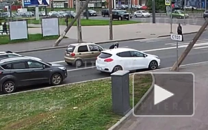 Мотоциклист врезался в Lexus на перекрёстке Ленинского и Народного Ополчения проспектов