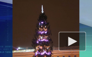 Главную елку Петербурга выберут жители и гости города