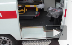 В Красноярске на 9-летнюю девочку напала стая бездомных собак