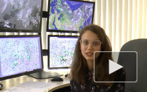 В Гидрометцентре рассказали, какая погода будет в июне