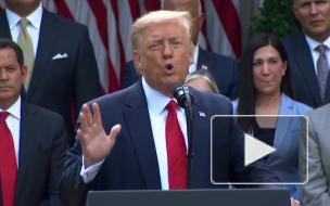Трамп назвал закрытие школ из-за COVID-19 "политическим абсурдом"
