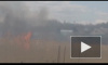 В Саратовской области огонь от горящей травы может перекинуться на село Багаевка