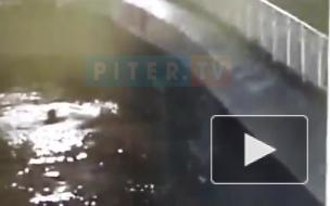 Падение девушки с моста в Фонтанку попало на видео