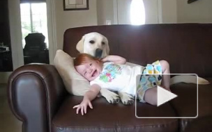 собака вылизывает ребенка