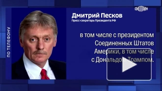 Песков напомнил об открытости Путина к контактам с международными лидерами