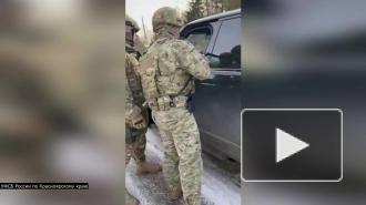 Красноярских предпринимателей уличили в контрабанде пиломатериалов
