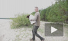 Видео: нерпёнка Вовчика выпустили в Ладожское озеро 